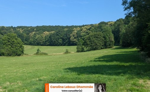 Rancho en Avezé, Países del Loira, Francia 1