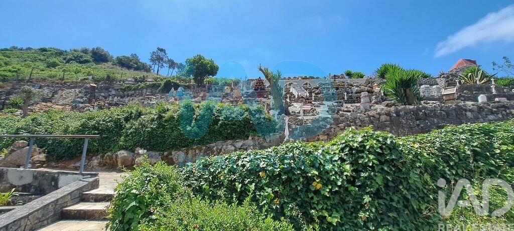 Farm Ranch in Rolica, Leiria District, Portugal 5 - 18401660