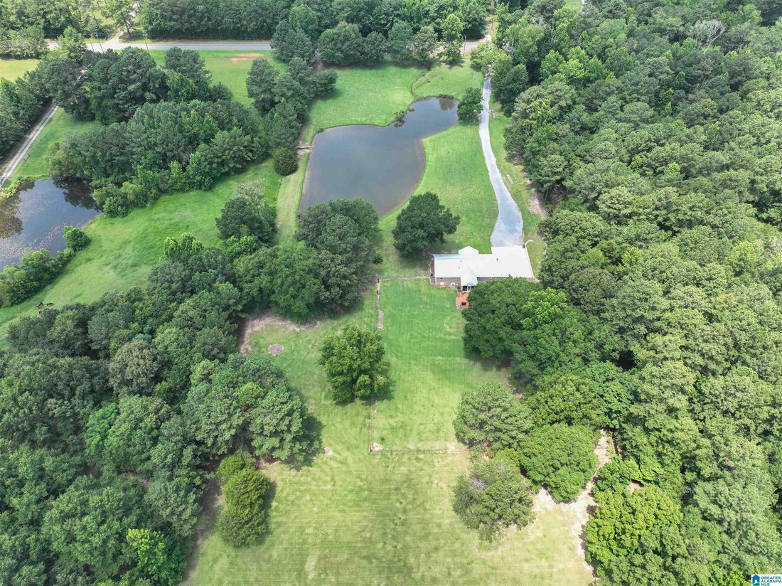 House in Wilsonville, Alabama, United States 5 - 18400858
