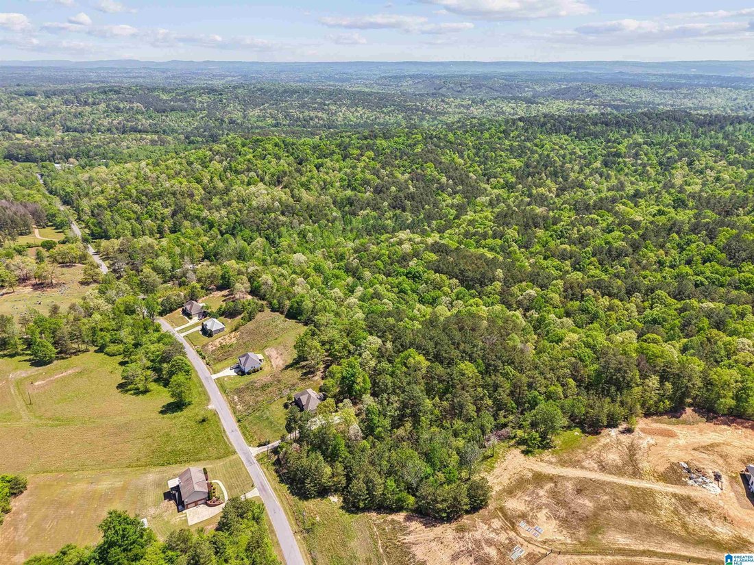 Hayden, Alabama, United States 5 - 18401094