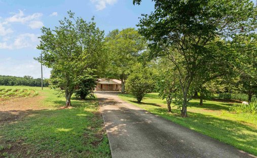 House in Harpersville, Alabama, United States 1