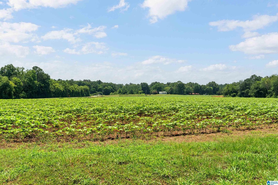 House in Harpersville, Alabama, United States 2 - 18402161