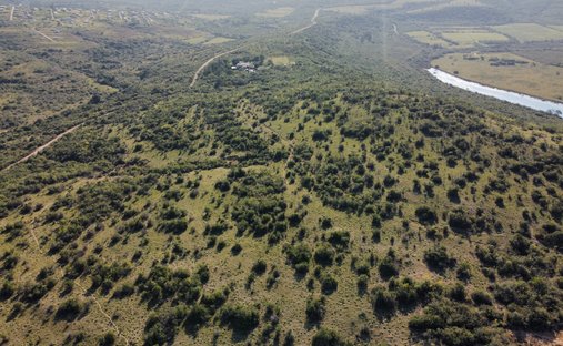Land in Gwaba, Ostkap, Südafrika 1