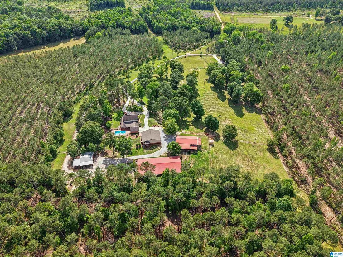 House in Centreville, Alabama, United States 1 - 18402262