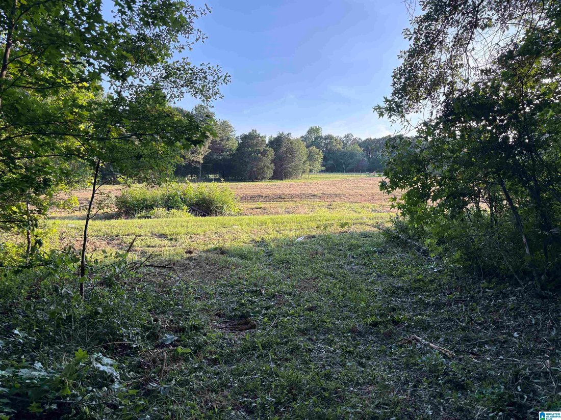 House in Verbena, Alabama, United States 4 - 18401518