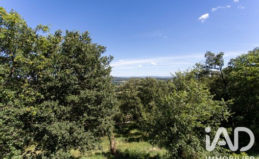Land in Ouest, Rochefort-du-Gard, France 1