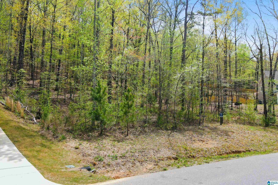 House in Chelsea, Alabama, United States 4 - 18402302
