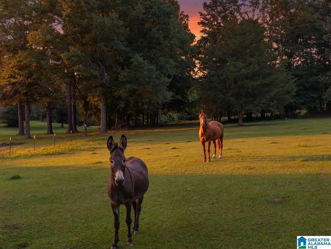 House in Calera, Alabama, United States 4 - 18401528