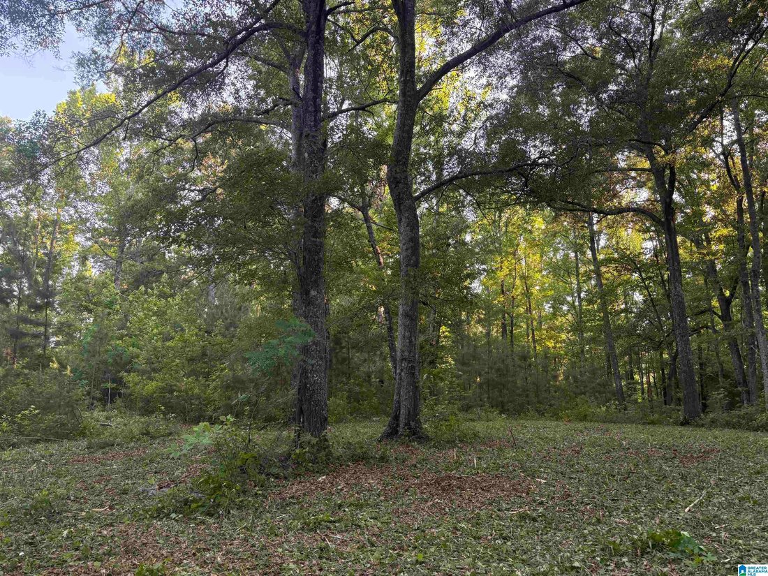 House in Verbena, Alabama, United States 3 - 18401518