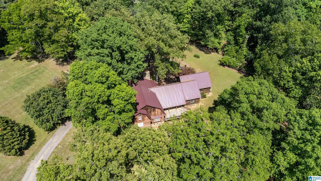 House in Dora, Alabama, United States 5 - 18401532