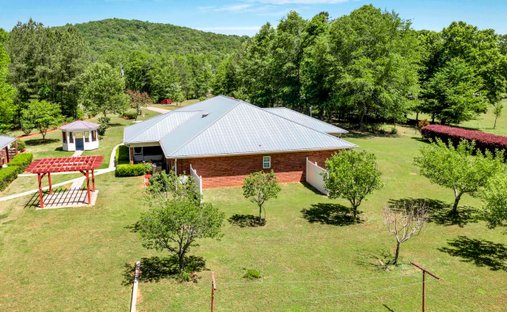 House in Wellington, Alabama, United States 1