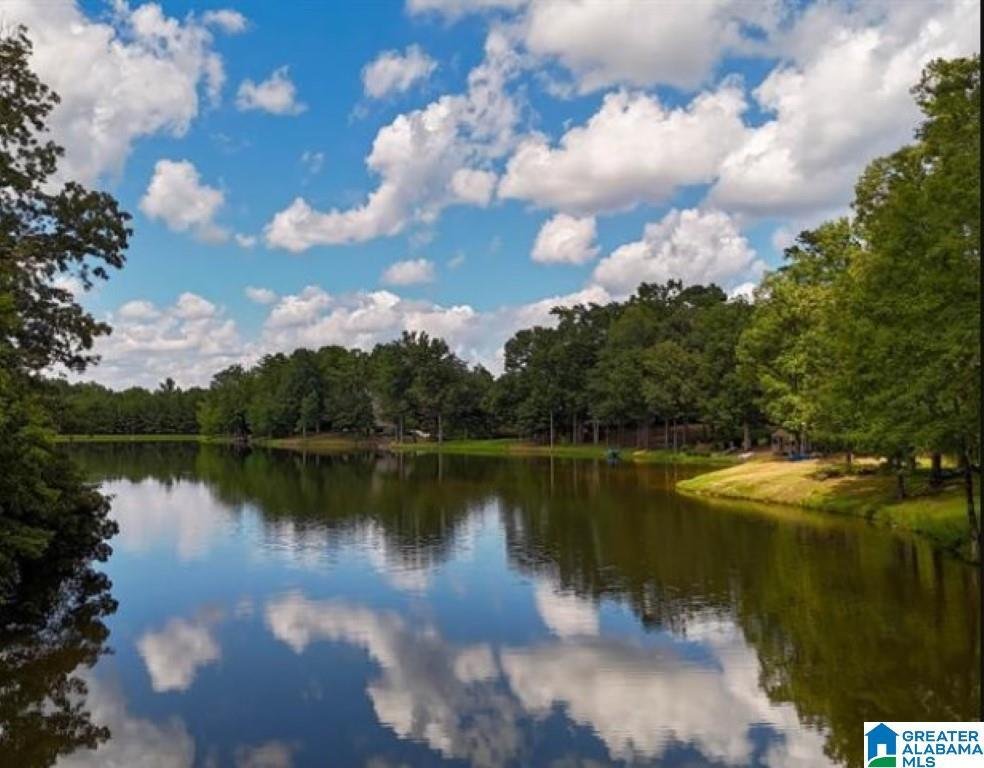 House in Hoover, Alabama, United States 3 - 18401208