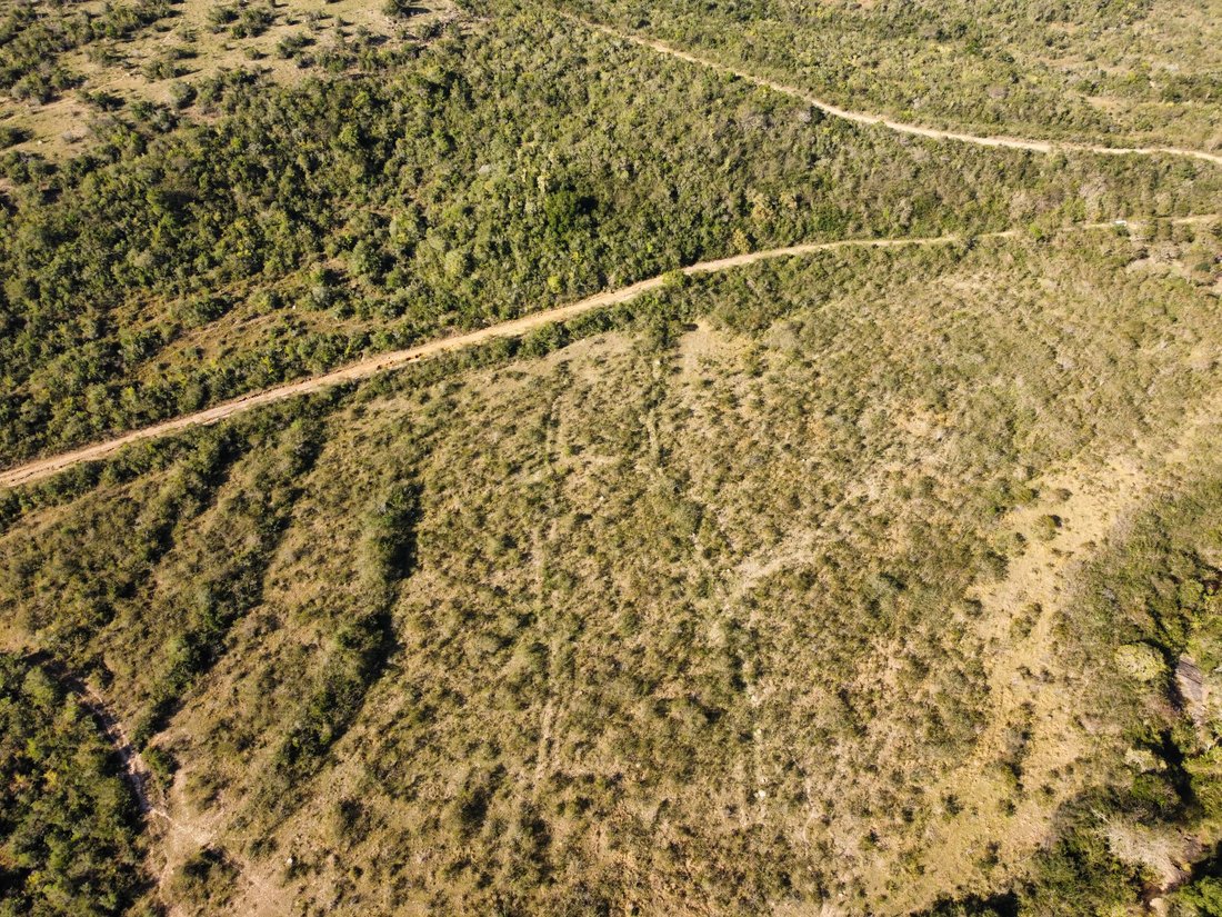 Terrain à Gwaba, Cap-Oriental, Afrique du Sud 2 - 18400806