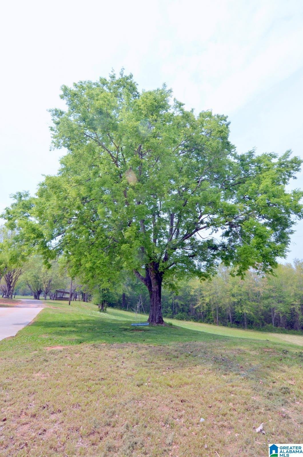House in Wilsonville, Alabama, United States 5 - 18402282