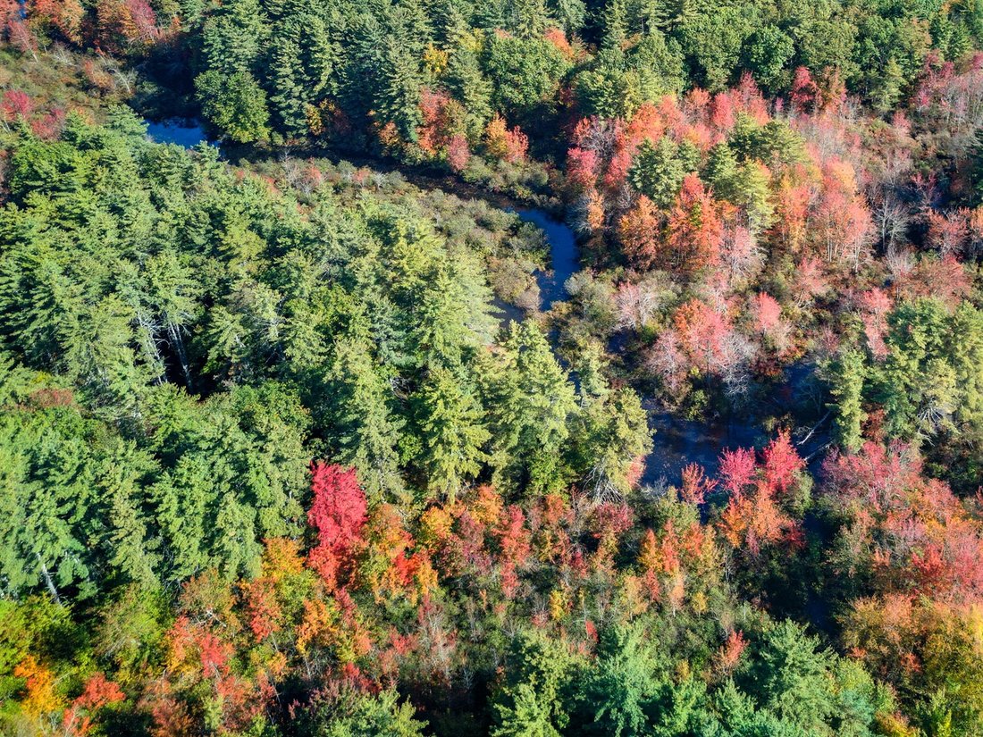 House in Amherst, New Hampshire, United States 4 - 18402558