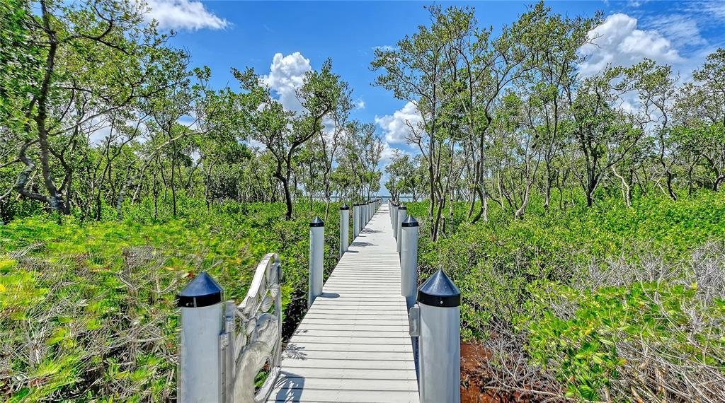 House in Ellenton, Florida, United States 3 - 18402375