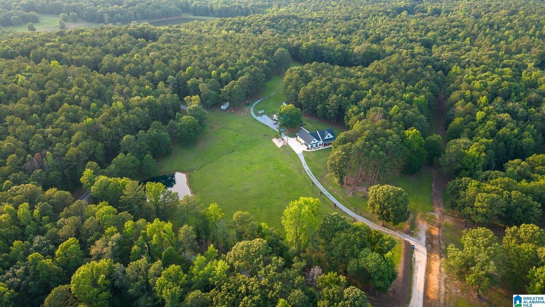 House in Pell City, Alabama, United States 4 - 18401453