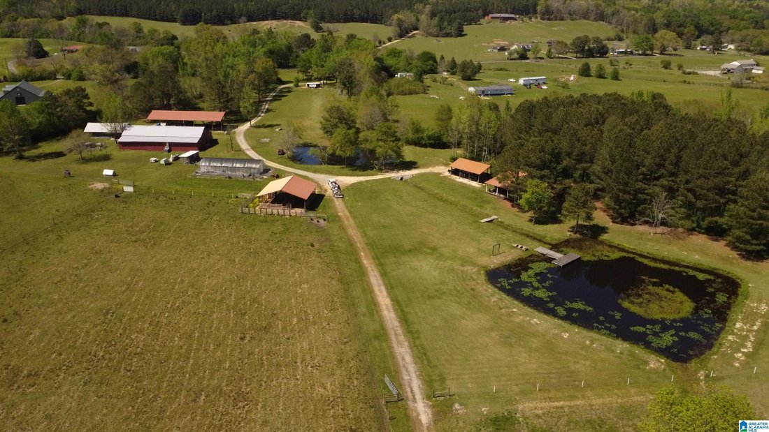 House in Ashville, Alabama, United States 1 - 18401527