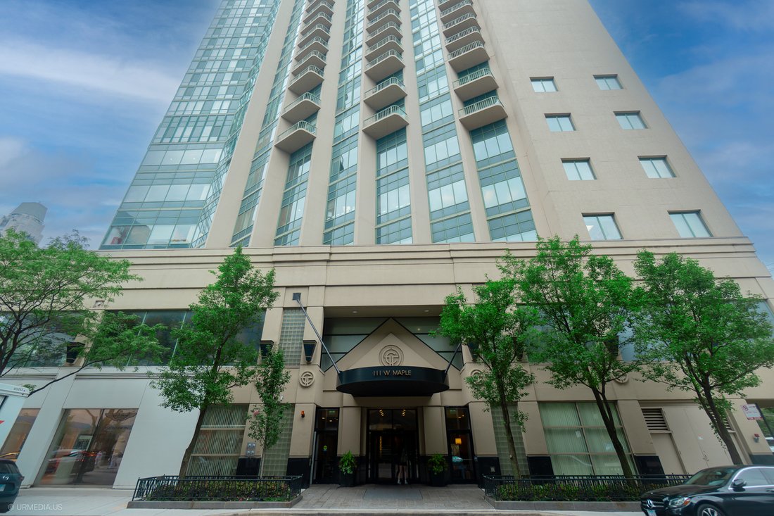 Condo in Chicago, Illinois, United States 1 - 18403427
