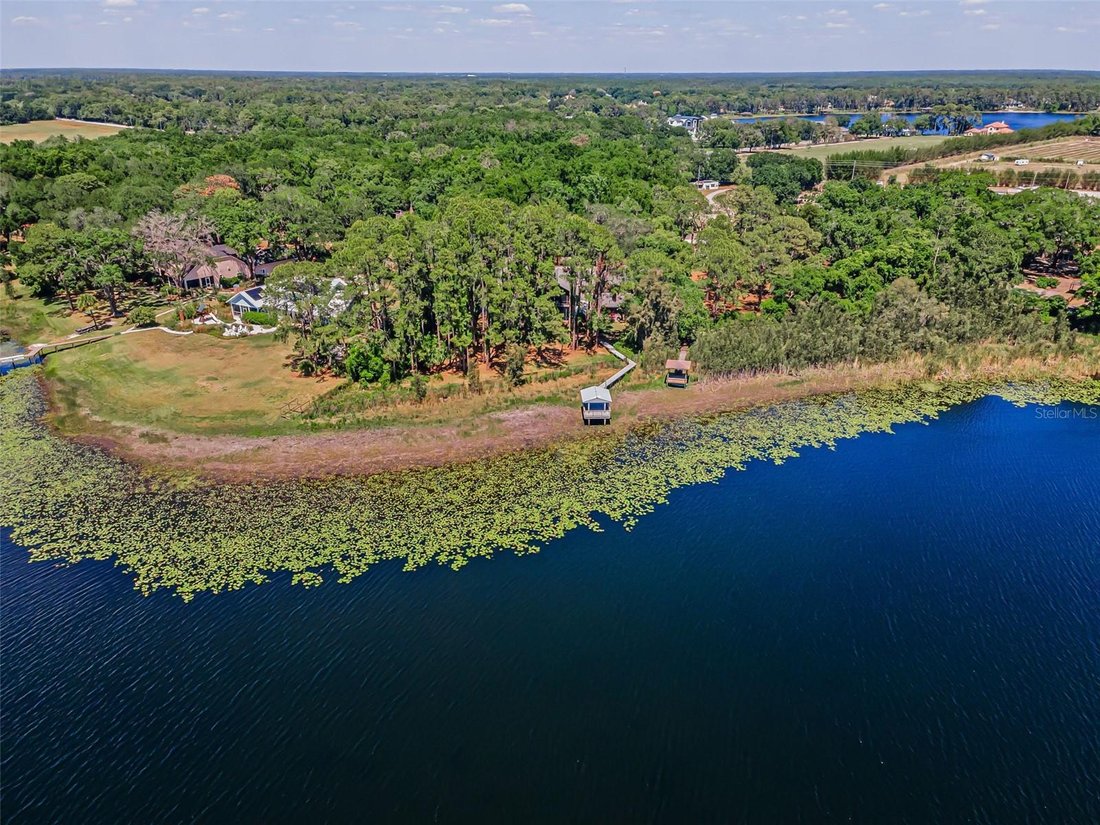 House in Odessa, Florida, United States 3 - 18403322