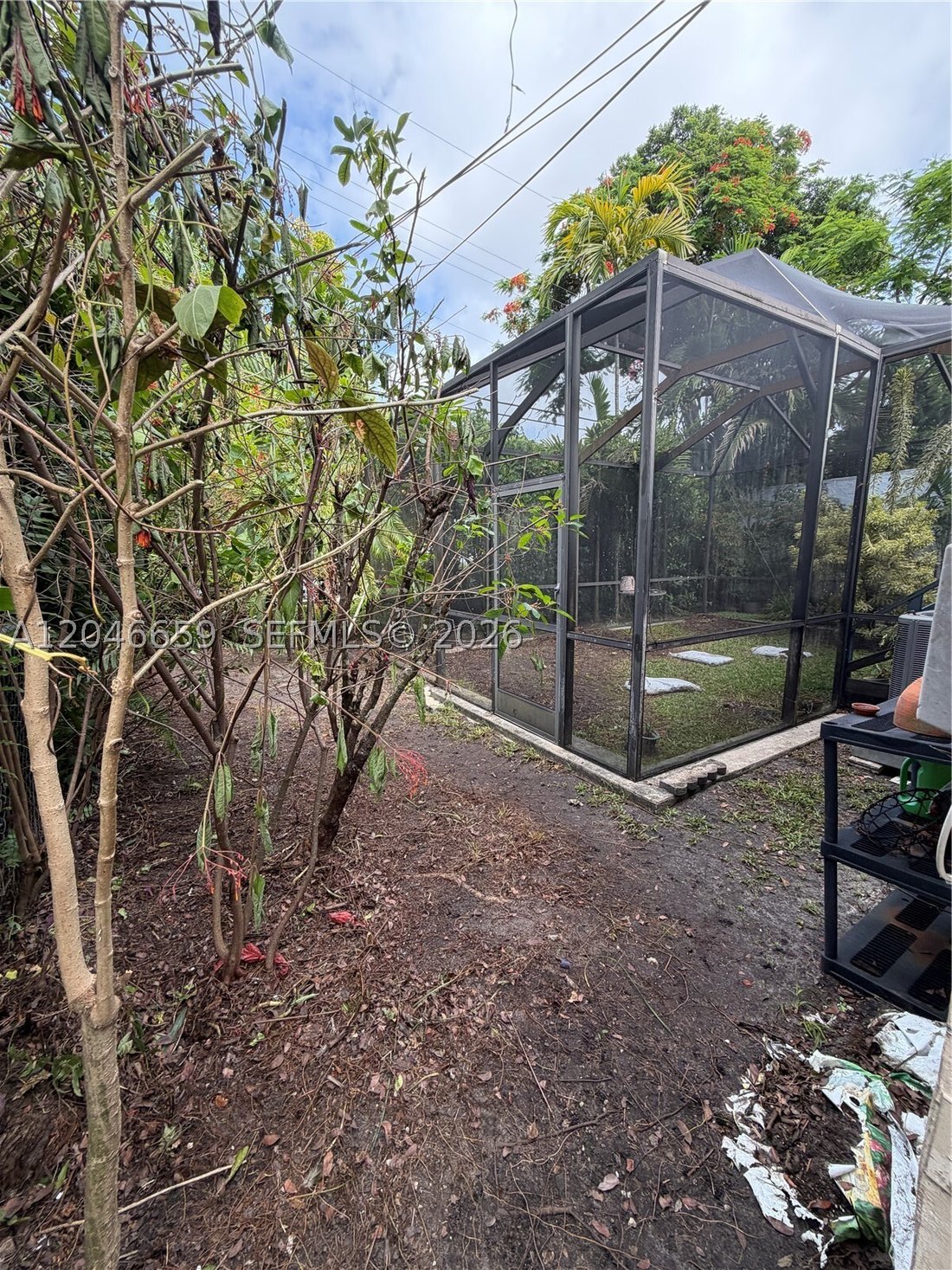 Haus in Coral Gables, Florida, Vereinigte Staaten 5 - 18403385