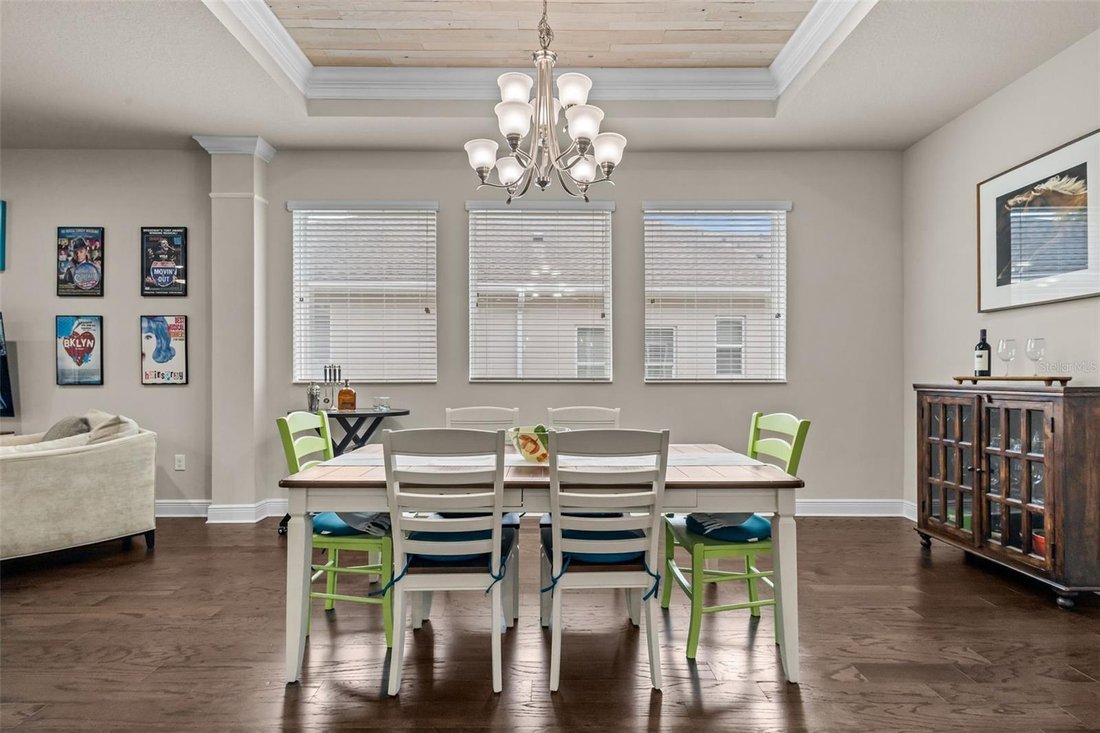 House in Odessa, Florida, United States 4 - 18403319