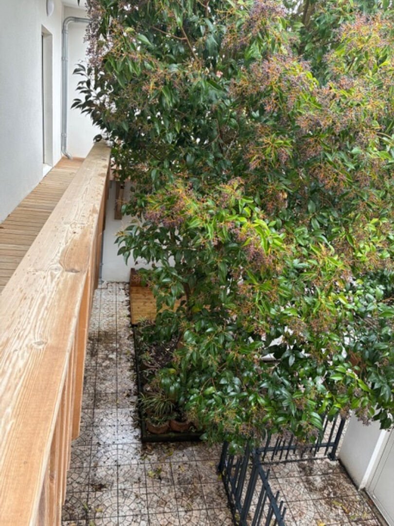 Apartment in Arcachon, Nouvelle-Aquitaine, France 3 - 18405481