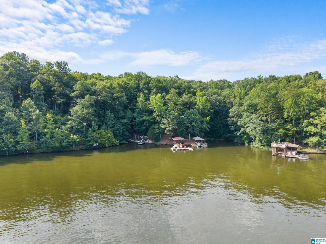 House in Wedowee, Alabama, United States 3 - 18406874