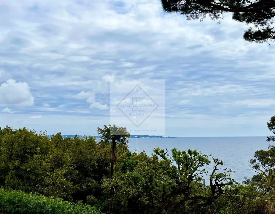 House in Cannes, Provence-Alpes-Côte d'Azur, France 2 - 14846183
