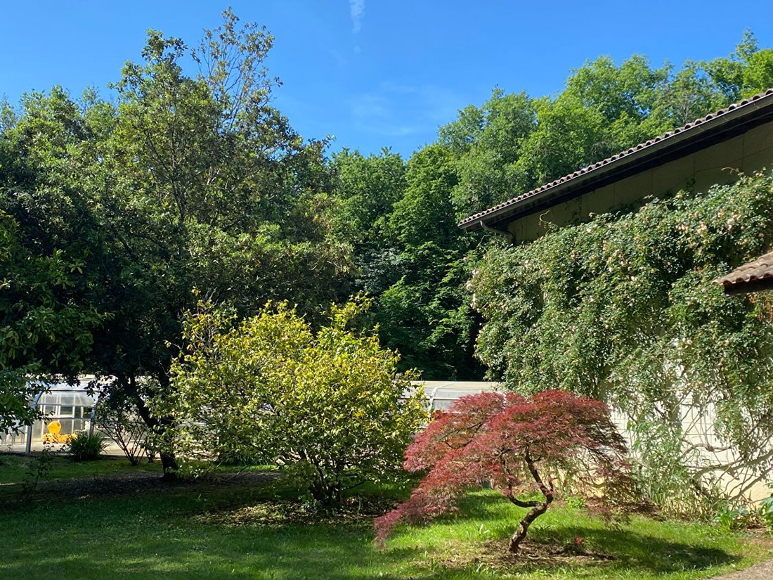 Villa in Blasimon, Nouvelle-Aquitaine, France 5 - 18405979