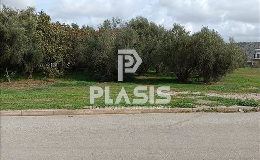 Land in Vari, Attica, Greece 1