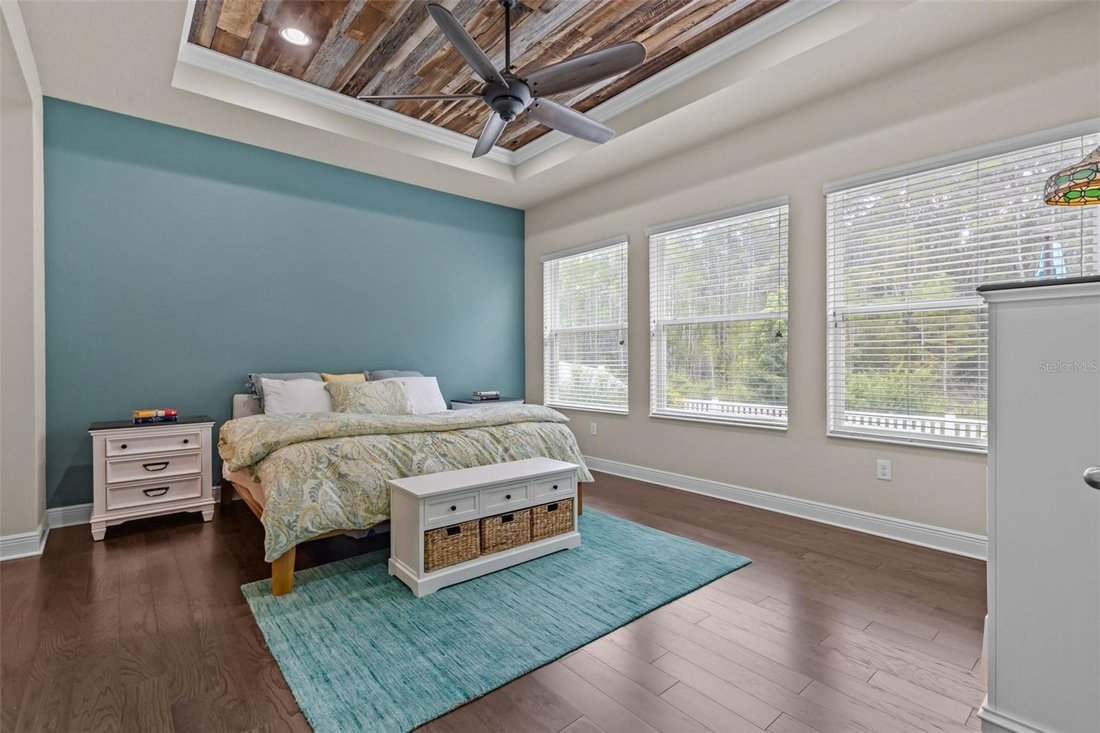 House in Odessa, Florida, United States 5 - 18403319