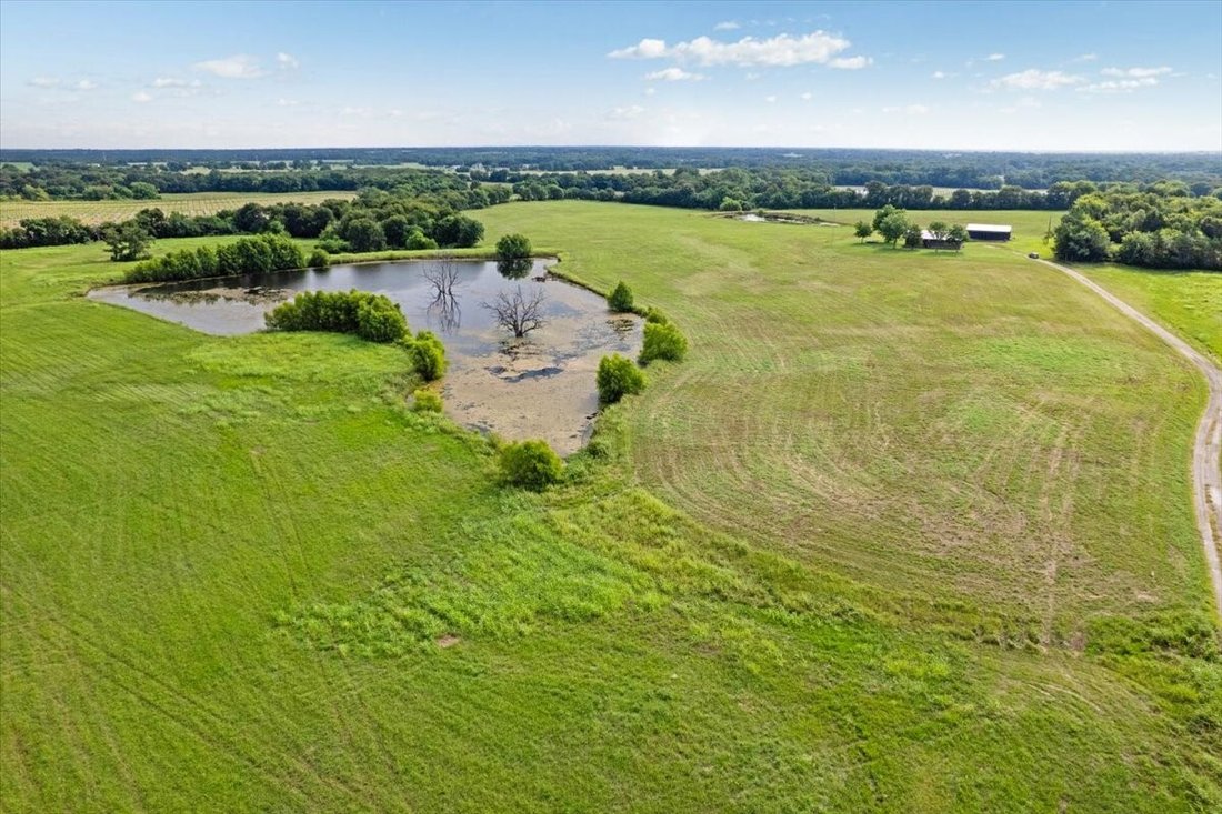 House in Paris, Texas, United States 1 - 18409015