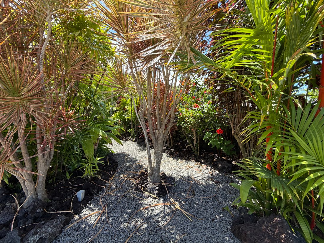 House in Kailua-Kona, Hawaii, United States 4 - 18415119