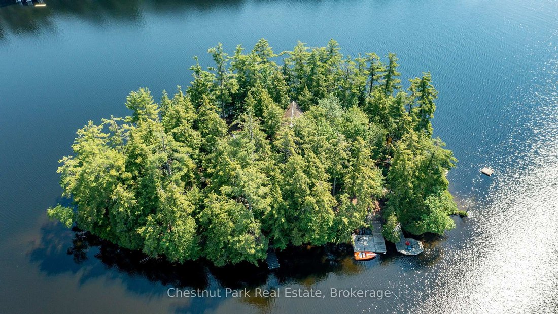 House in Muskoka Lakes, Ontario, Canada 5 - 18416839