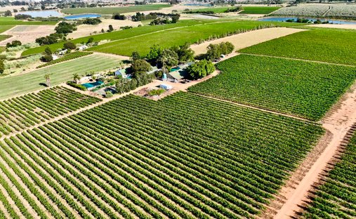Farm Ranch in Paarl, Western Cape, South Africa 1