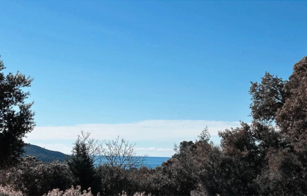 Villa in La Croix-Valmer, Provence-Alpes-Côte d'Azur, France 2 - 18405876