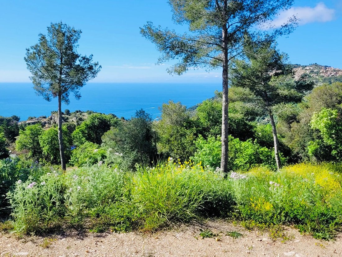 Land in La Turbie, Provence-Alpes-Côte d'Azur, France 1 - 18405295