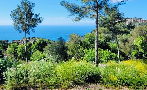 Land in La Turbie, Provence-Alpes-Côte d'Azur, France 1