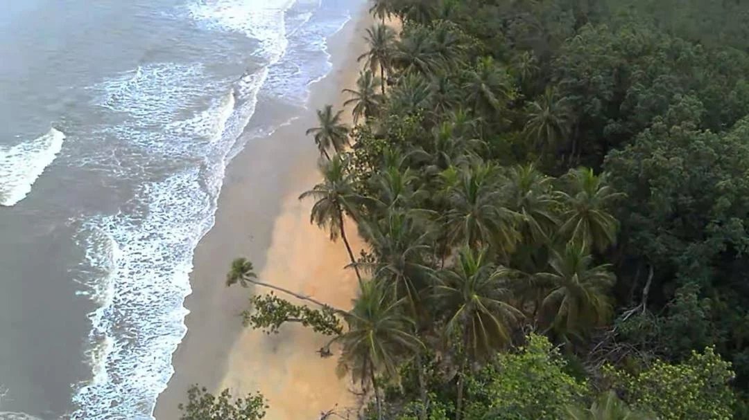 Land in Kribi, South Region, Cameroon 4 - 18413947
