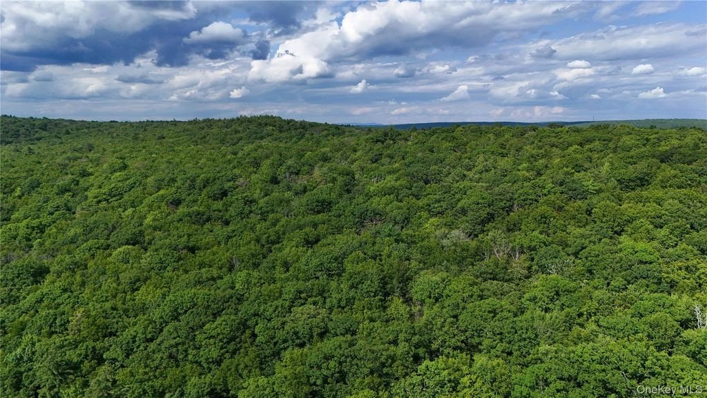 Land in Forestburgh, New York, United States 2 - 18415745