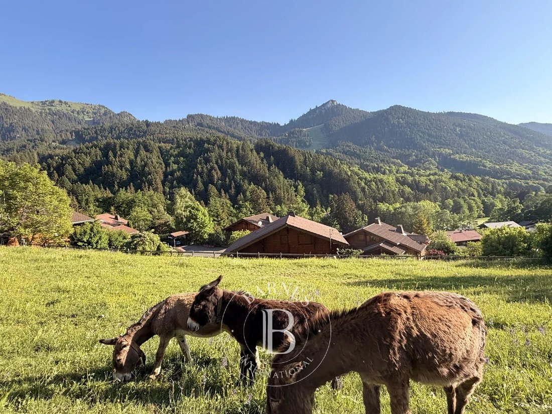 House in Bernex, Auvergne-Rhône-Alpes, France 2 - 18413987