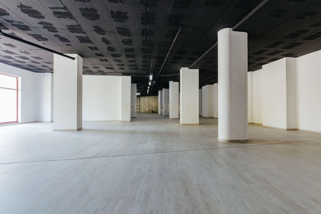 Barcarena, Lisbon, Portugal 2 - 16703977