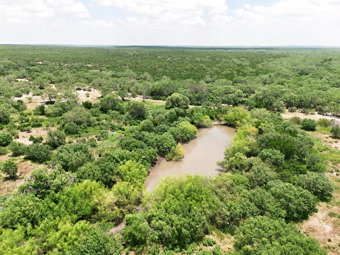 Farm Ranch in Dilley, Texas, United States 5 - 16401527