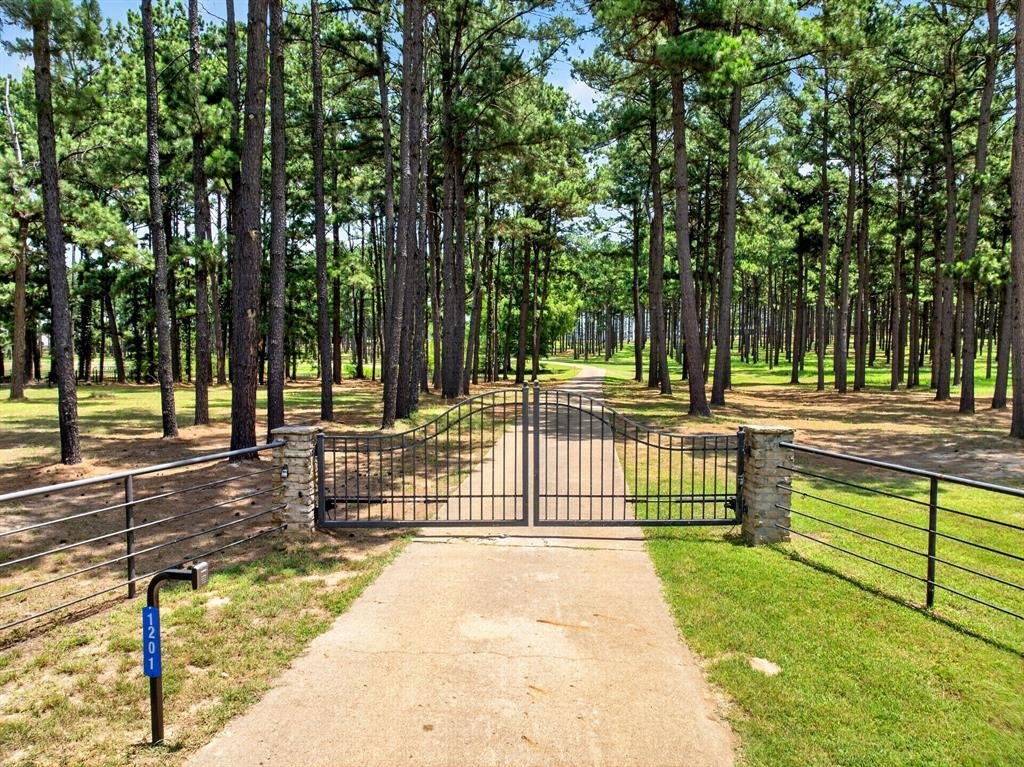 House in Athens, Texas, United States 3 - 18404114