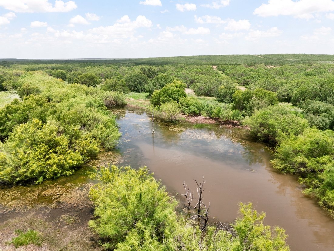 Farm Ranch in Dilley, Texas, United States 3 - 16401527