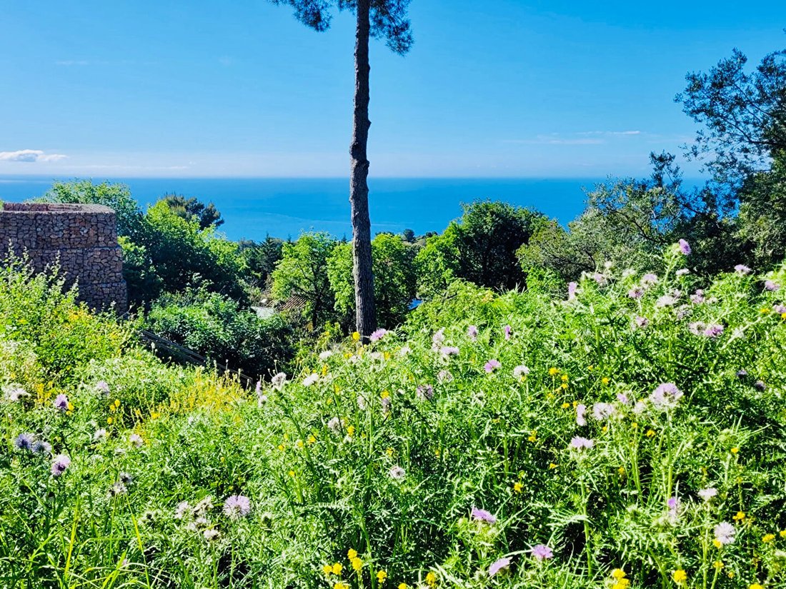Land in La Turbie, Provence-Alpes-Côte d'Azur, France 5 - 18405295