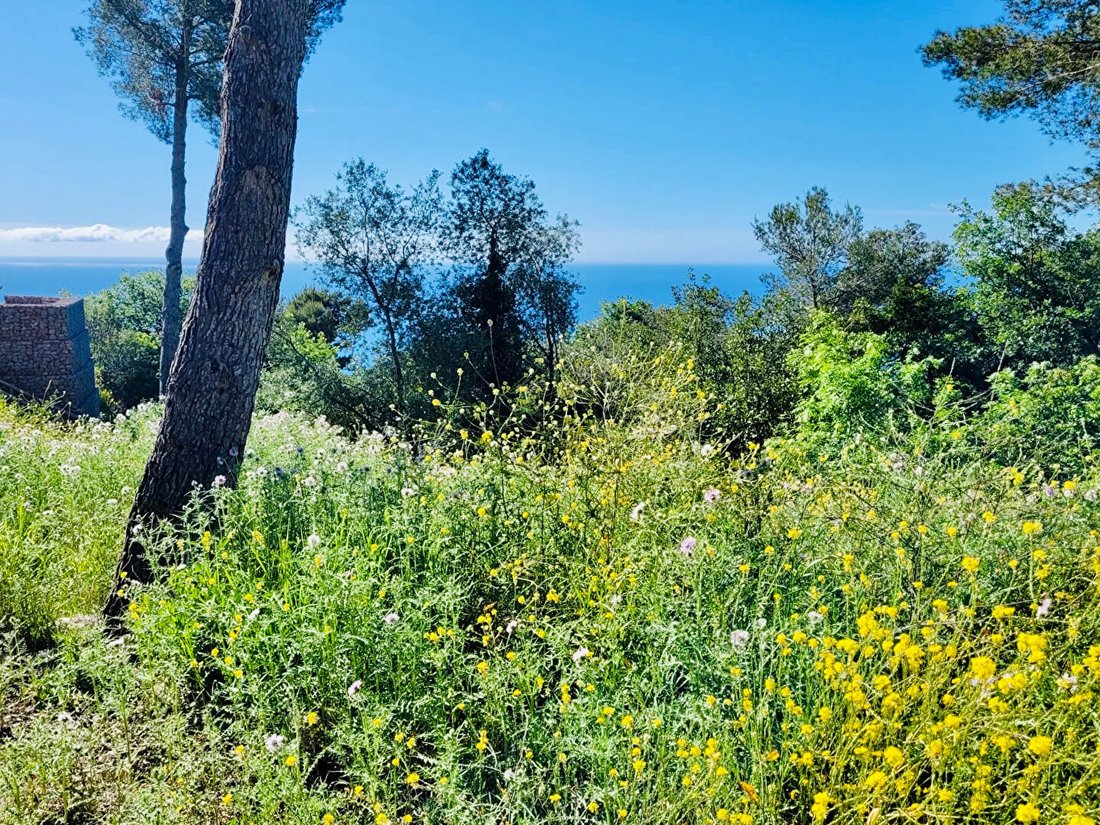 Land in La Turbie, Provence-Alpes-Côte d'Azur, France 2 - 18405295