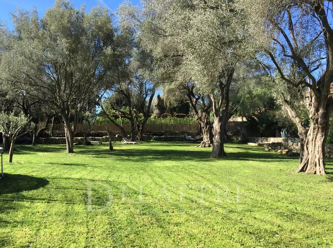 Apartment in Sud, Roquefort-les-Pins, France 4 - 18413951