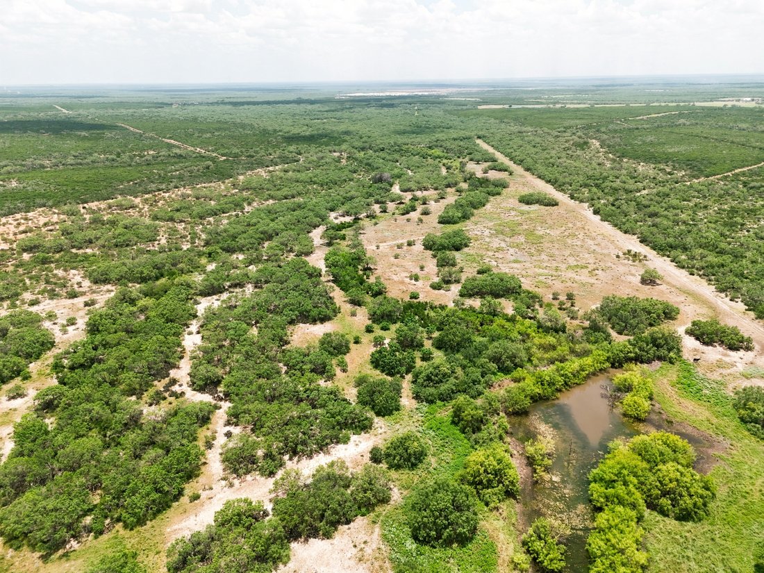 Farm Ranch in Dilley, Texas, United States 2 - 16401527
